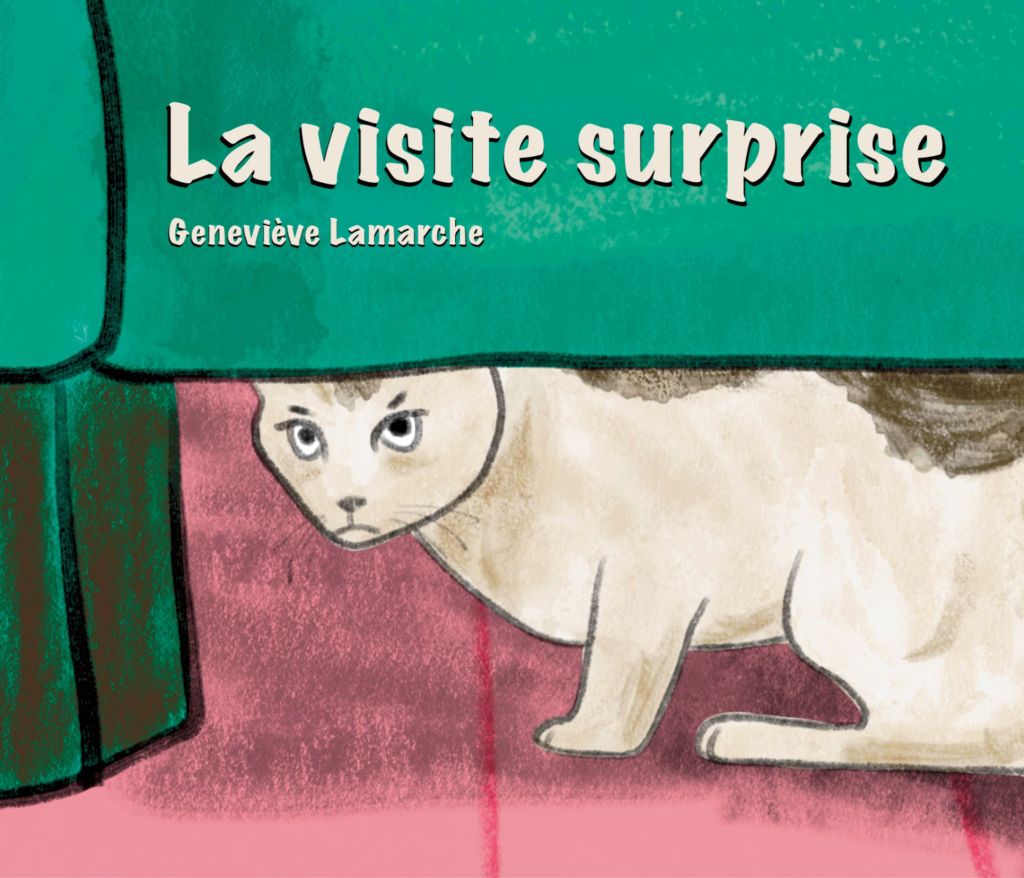 Livre: La visite surprise